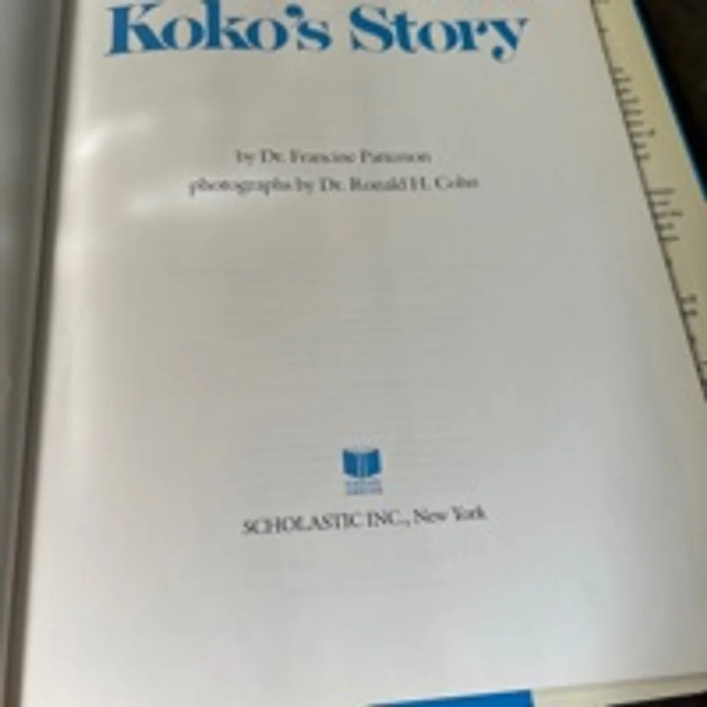 Unisex Scholastic Koko's Story Book